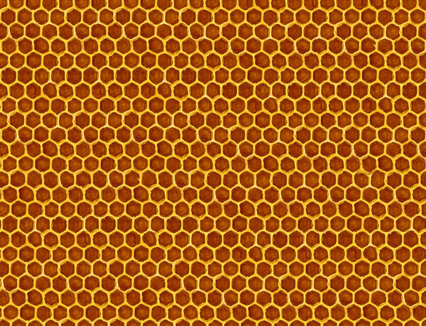 image of honeycomb close seup
