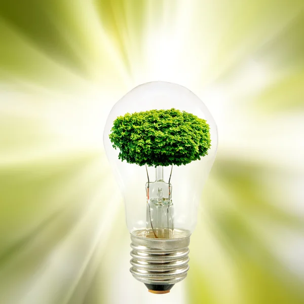 Stiliserad bild av ett träd i en glödlampa på en grön bakgrund närbild — Stockfoto