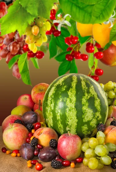 Image of many fruits close-up — Stock Photo, Image