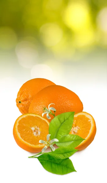 Imagen del primer plano naranja dulce maduro — Foto de Stock