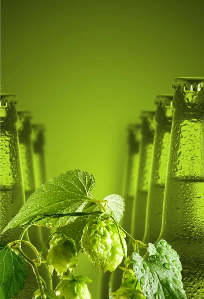 Imagem de garrafas de cerveja e hop closeup — Fotografia de Stock