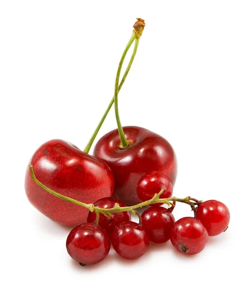 Isolated image of  cherries close up — Stock Photo, Image