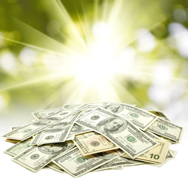 Dolarlar izole görüntü