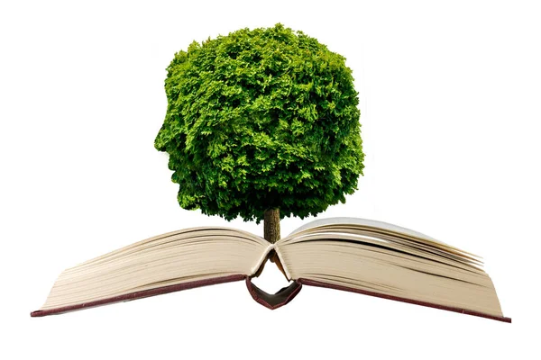 Isolated Image Open Book Tree Outline Which Transformed Person Face — Stock Photo, Image