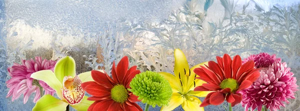 Kwiaty Mroźne Okno Tło Zbliżenie — Zdjęcie stockowe