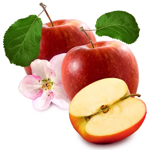 Isolated Image Three Apples White Background — Stock Photo, Image