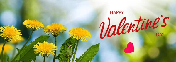 Feliz Día San Valentín Con Hermosas Flores Festivas Sobre Fondo — Foto de Stock