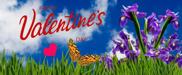 Happy Valentines Day Beautiful Festive Flowers Colorful Background — Stock Photo, Image