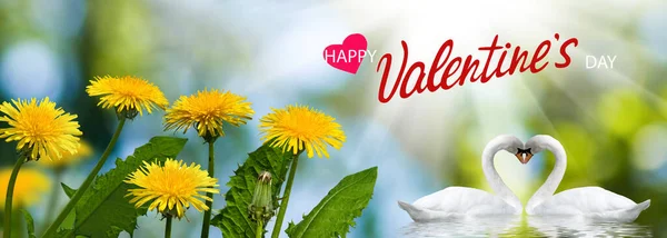 Fröhlicher Valentinstag Mit Schönen Festlichen Blumen Und Zwei Schwänen Auf — Stockfoto