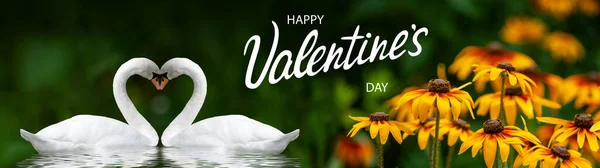 Feliz Día San Valentín Con Hermosas Flores Festivas Dos Cisnes — Foto de Stock