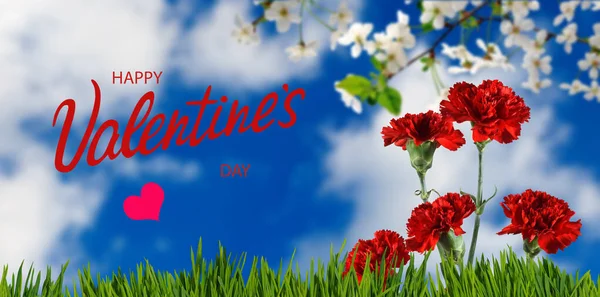 Boldog Valentin Nap Gyönyörű Ünnepi Virágok Színes Háttér — Stock Fotó