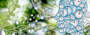çok sayıda saat kadranından oluşan bir kişinin profili zamanın geçişinin sembolü olarak biçimlendirilmiş dna3d-image 'in arka planına karşı