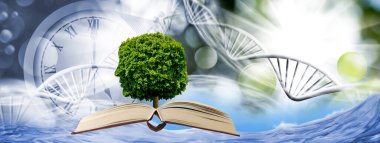 İnsan yüzü şeklinde taçlandırılmış bir ağaç doğanın ve insanın birliğinin sembolü olarak.