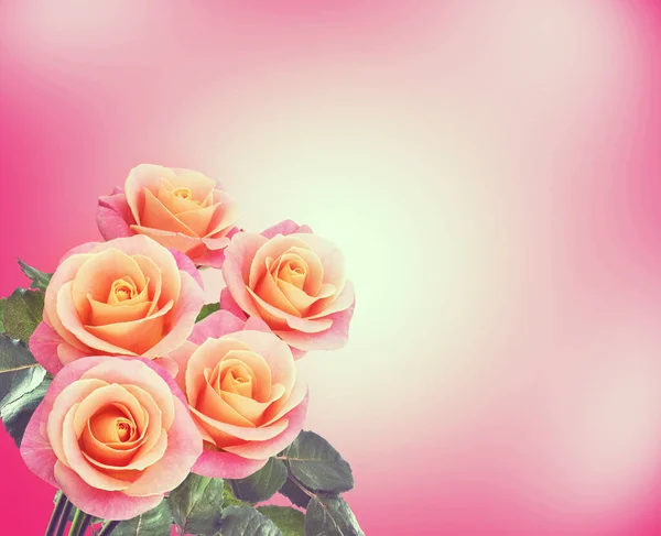 Image Bouquet Belles Roses Sur Fond Rose — Photo