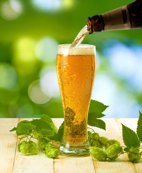 Afbeelding Van Een Mok Met Bier Hop Een Groene Achtergrond — Stockfoto