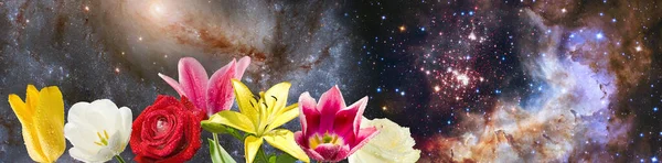 Hermosas flores sobre el fondo del cielo estrellado —  Fotos de Stock