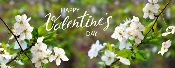 Día de San Valentín. Bandera romántica. Decoración de hermosas flores — Foto de Stock