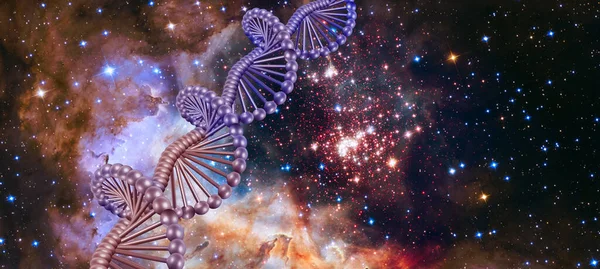 DNA stilizzato sullo sfondo del cielo stellato. Elementi di questa immagine forniti dalla NASA. 3d-immagine — Foto Stock