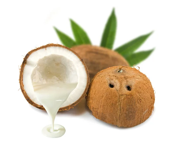 Kokosové Mléko Kokosy Detailní Záběr — Stock fotografie