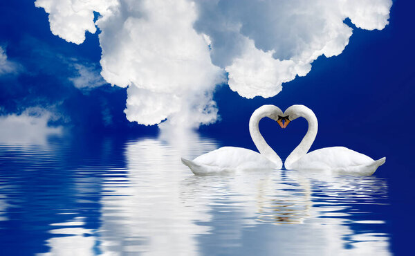  Happy Valentine's Day with two swans on a blue sky background