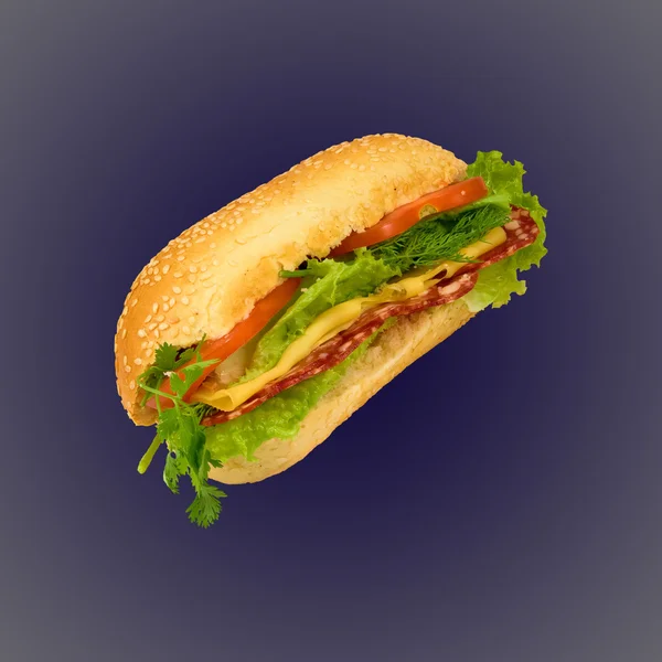 Sandwich on dark background — Stock Photo, Image