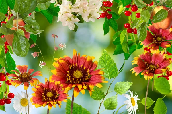 Blumen im Park auf grünem Hintergrund — Stockfoto