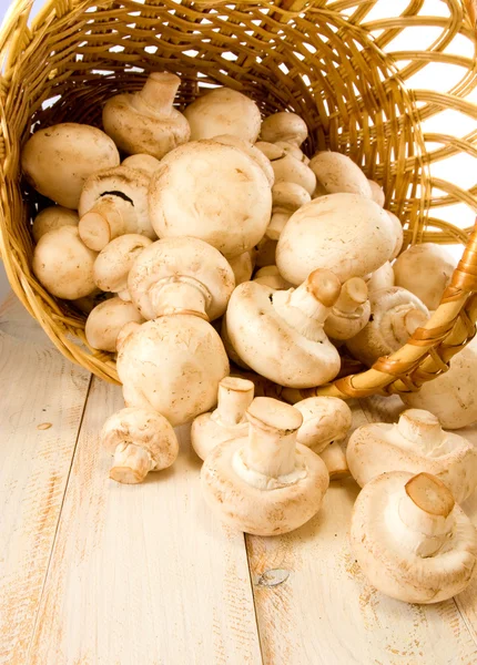 Champiñones en una canasta sobre la mesa — Foto de Stock