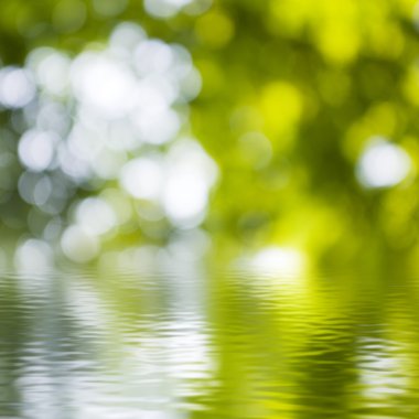 yeşil arka plan bulanık yüzeyinde