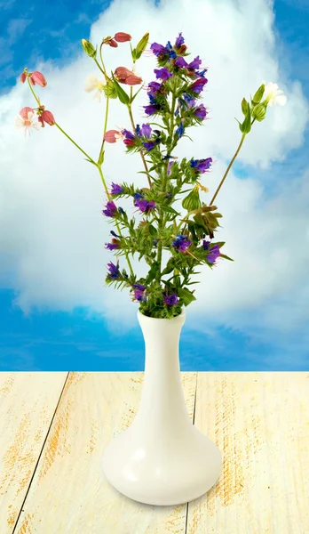 Bouquet in a vase on a  sky background — Stock Photo, Image