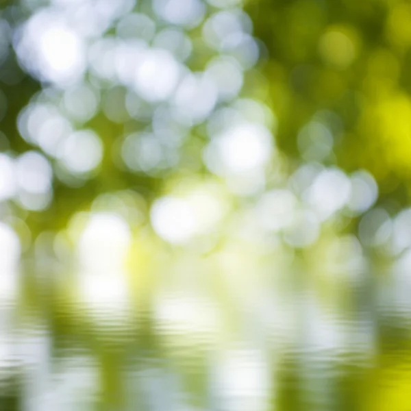 Yeşil arka plan bulanık tatlı su yüzeyine — Stok fotoğraf