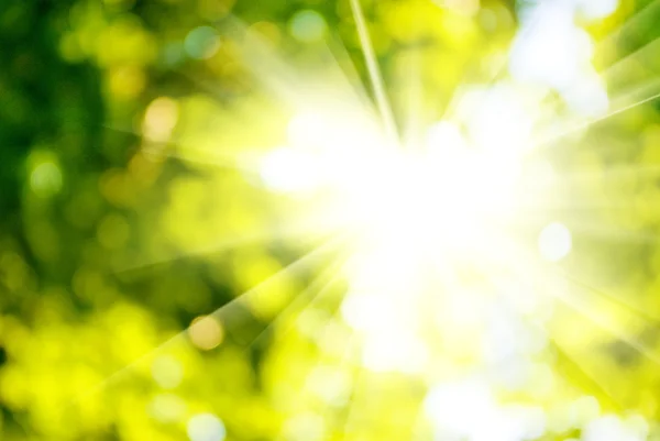 Zon op een groene achtergrond — Stockfoto