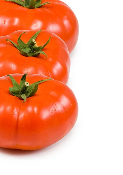 Tomate sobre fondo blanco — Foto de Stock