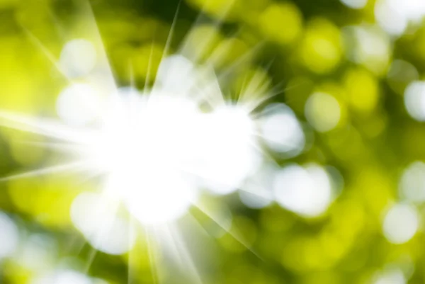 Sun on a green background closeup — Stock Photo, Image