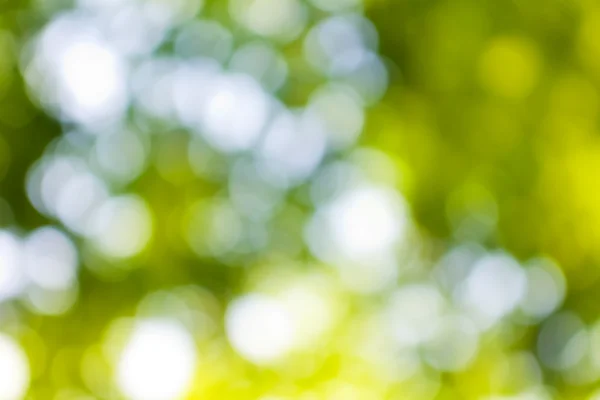 Abstract background image of green vegetable — Stock Photo, Image