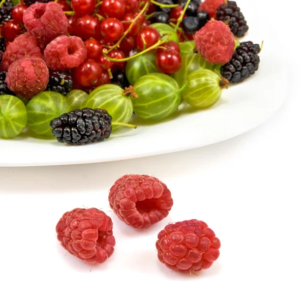 Different berries on a white background — Stock Photo, Image