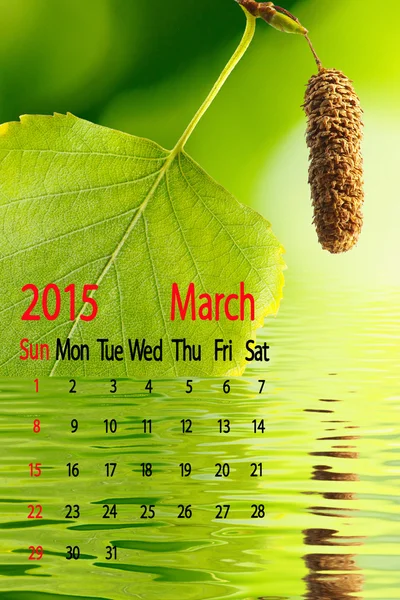 2015 カレンダーです。3 月。水のクローズ アップで白樺の葉 — ストック写真