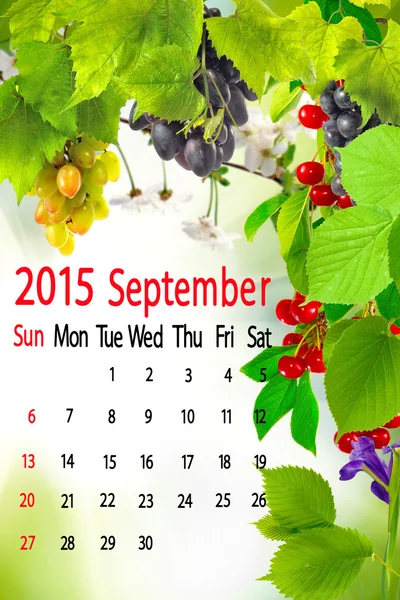 2015 カレンダーです。9 月 — ストック写真