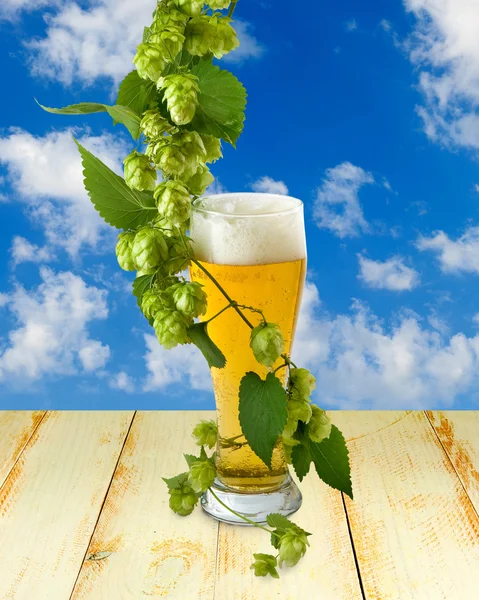 Tasses à bière et hop sur un fond bleu ciel — Photo