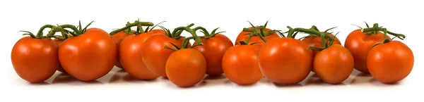 番茄对白色背景特写的孤立的形象 — 图库照片