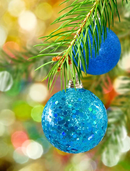 Deux boules de Noël bleues sur branche d'épinette — Photo