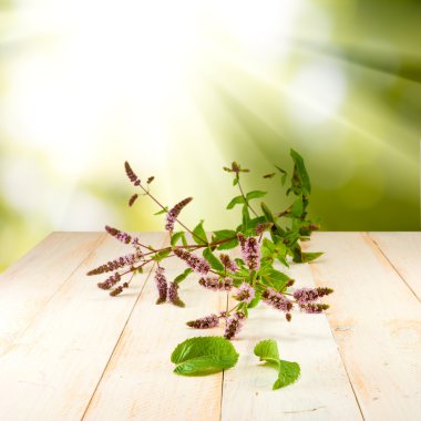 Nane bir masaya çiçek şube 