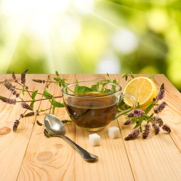 Tasse de thé et branches de menthe sur la table — Photo