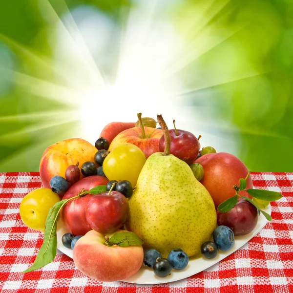 Different delicious fruits against the sun — Stock Photo, Image