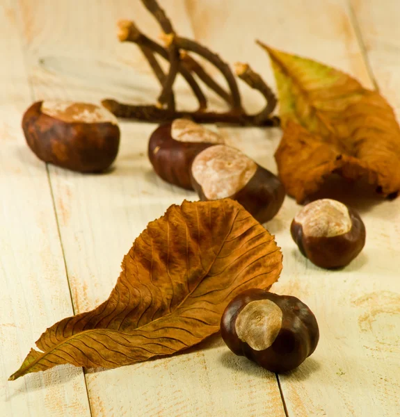 Foglie secche e castagne sul tavolo — Foto Stock