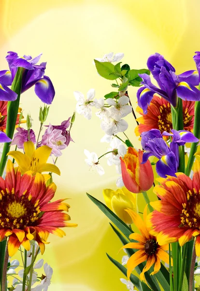 黄色の背景に庭の多くの美しい花のイメージ — ストック写真
