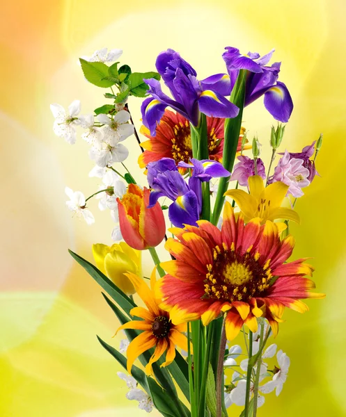 Obraz z wielu pięknych kwiatów w ogrodzie — Zdjęcie stockowe
