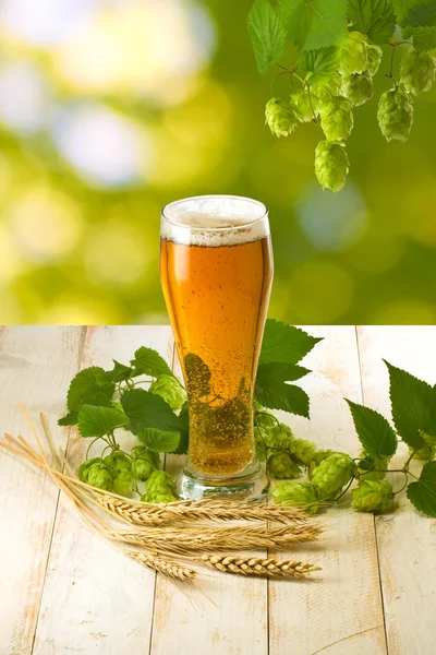Canecas com cerveja e hop na mesa de madeira em um fundo verde — Fotografia de Stock