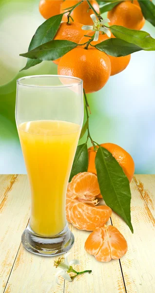 果汁和橘 — 图库照片