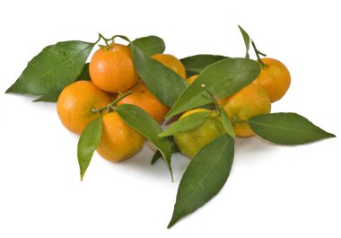 Beyaz arka planda mandalinalar