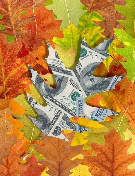 Dólares y hojas de otoño — Foto de Stock